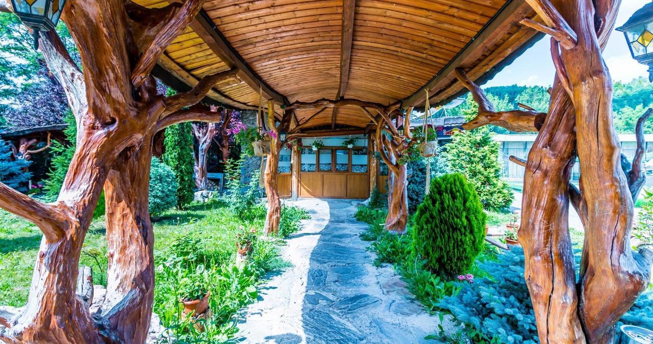 Castelul De Vis Ξενοδοχείο Petroşani Εξωτερικό φωτογραφία