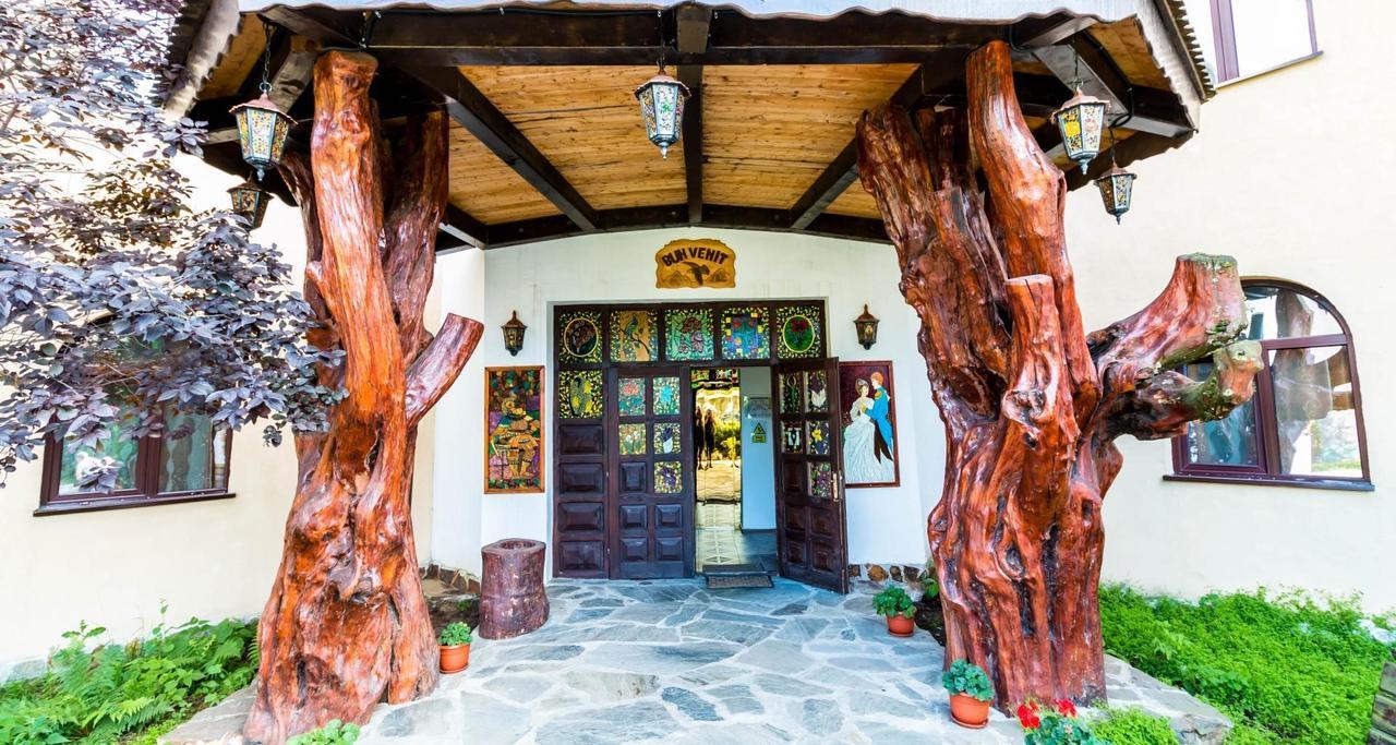 Castelul De Vis Ξενοδοχείο Petroşani Εξωτερικό φωτογραφία