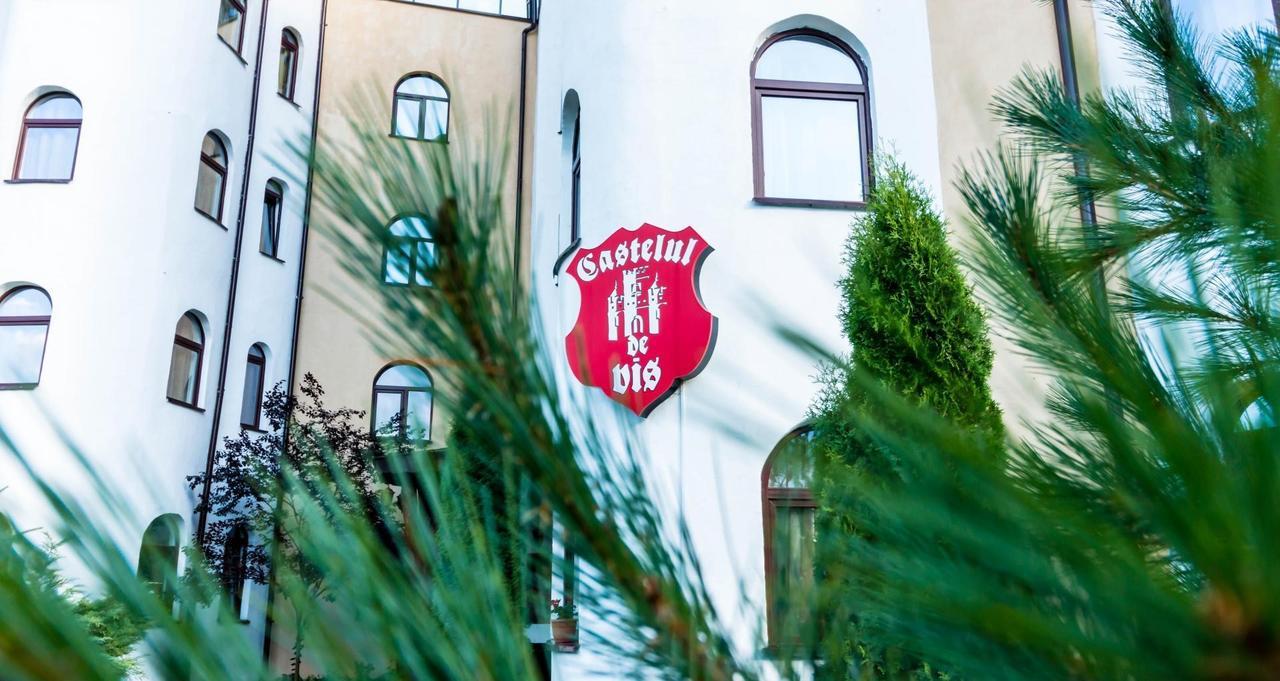 Castelul De Vis Ξενοδοχείο Petroşani Εξωτερικό φωτογραφία